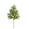 27" Norfolk Pine Spray | Faux Greenery Stem for Winter & Christmas Decor-XX9412